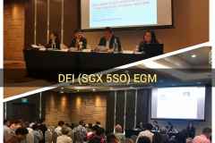DFI INVESTOR AGM